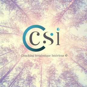 Coaching systémique intérieur