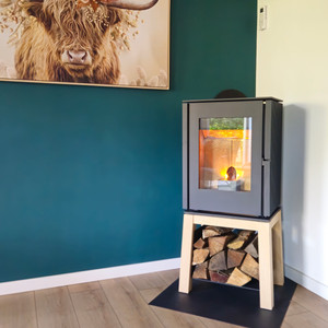 Trimline Fires Woody Loft pelletkachel geplaats in Bed & Breakfast in Weiteveen 