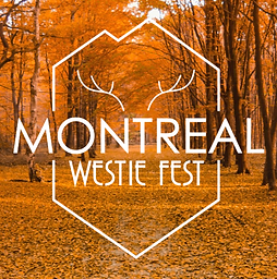 MWF website Banner.png