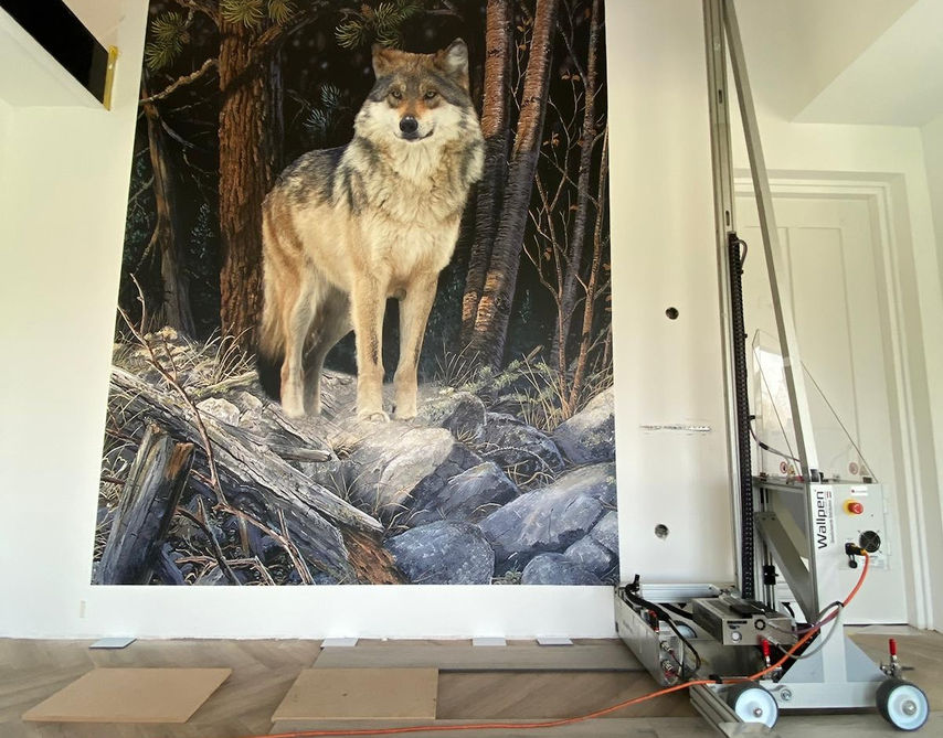 Mural in private house Las Vegas Nevada