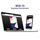 IGNOU Insight: Business Environment | ECO-13 | eBook