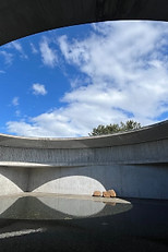 725409F8-C338-4E19-9277-E071646A1C94_1_1