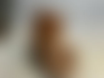 Pumpkin Spiced Donuts