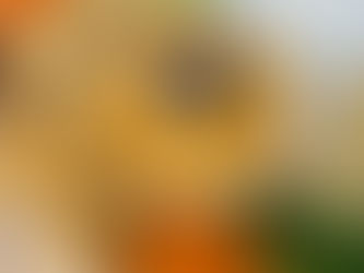 Roasted Red Pepper Hummus Brunch Board 