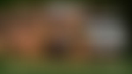 Fawlty Towers - Milton Keynes Theatre