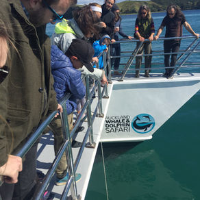 Experience the State of our Ocean