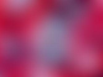 The Fourth Path to Tackling COVID 19