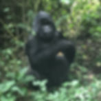 Democratic Republic of Congo