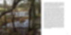 Rye Meadows book - Layout - DRAFT 312.jpg