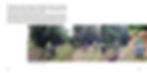 Rye Meadows book - Layout - DRAFT 345.jpg