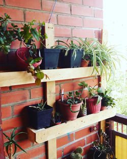 Macetero de palets vertical