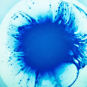 ULTIMATE GUIDE TO ENERGY HEALING: EMOTION CODE®, BODY CODE™, AND BELIEF CODE®