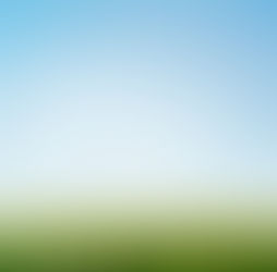 Open grassy field under a wide blue sky with soft clouds, creating a sense of space and calm