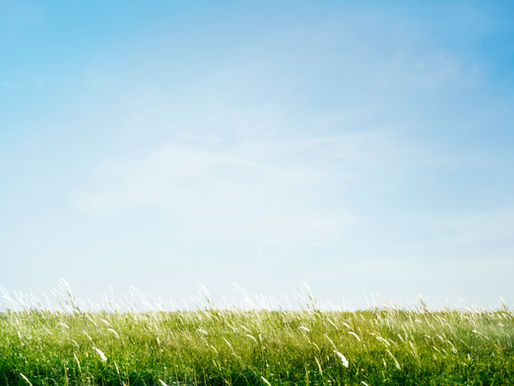 Open grassy field under a wide blue sky with soft clouds, creating a sense of space and calm