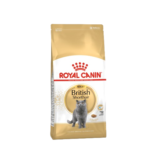 Royal Canin Adult British Short Hair