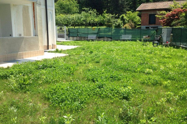 Miniatura: Villa, nuova, 268 mq, Casale Litta