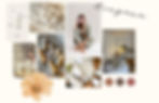 Ringana vision_edited.jpg