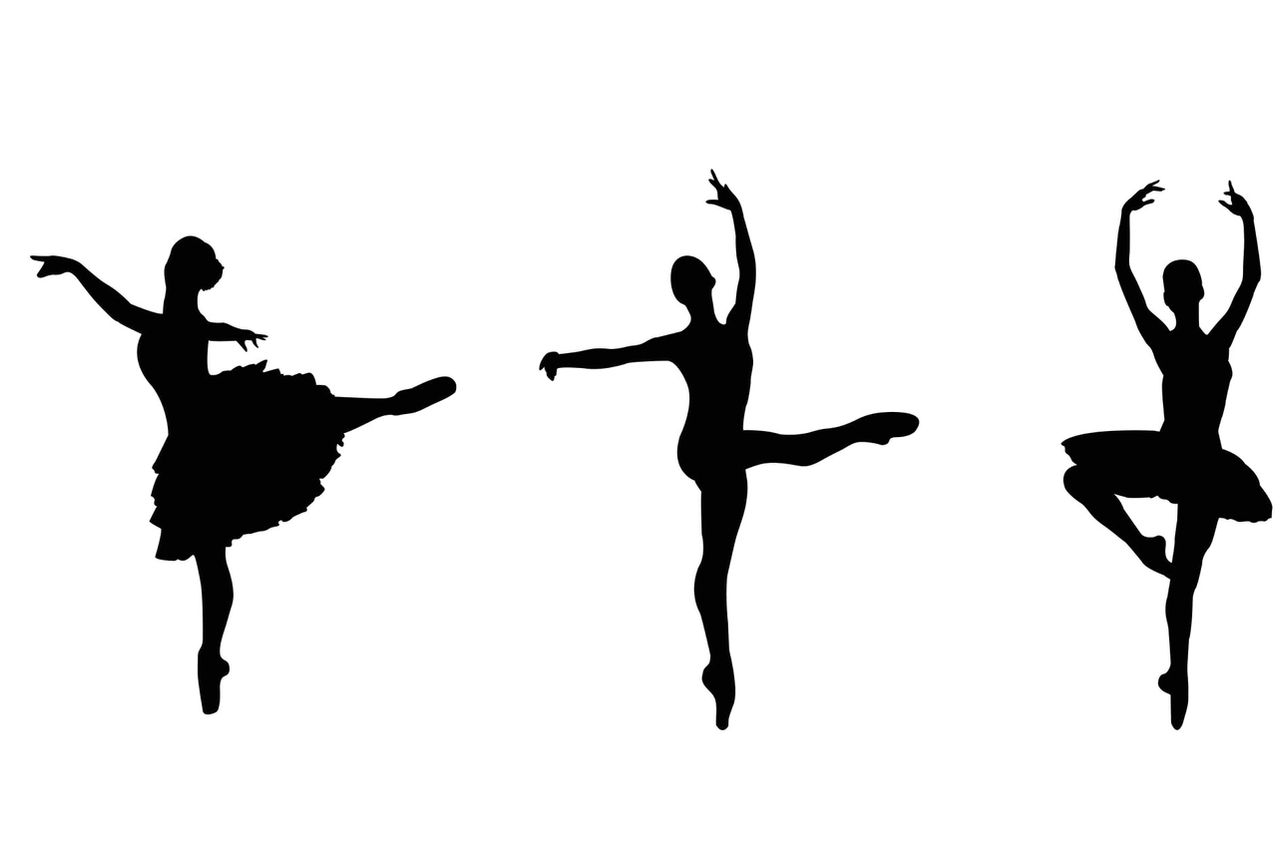 Brusque Professional Ballet Company — dance studio in Montgomery, AL