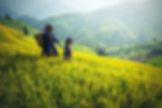 mindfulness in nature
