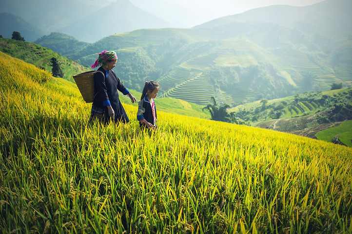 mindfulness in nature