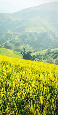 Asia