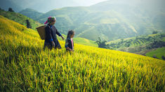 High Incidence of Diseases in Spring