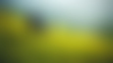 Bridging generations: Asia's civil society champions SDG 17 through inclusive