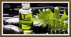 images.jpg 2014-3-14-23:45:18 2014-3-15-0:16:44