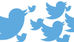 STUPIRE con un TWEET quasi PERFETTO