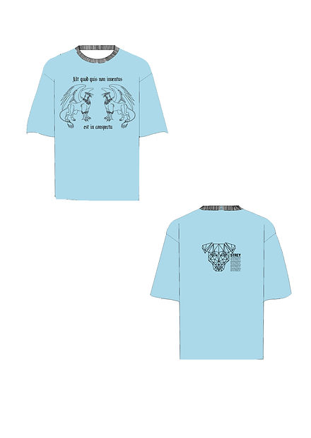 griffin tshirt.jpg