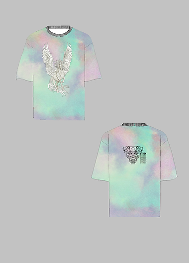 pegasus tshirt.png