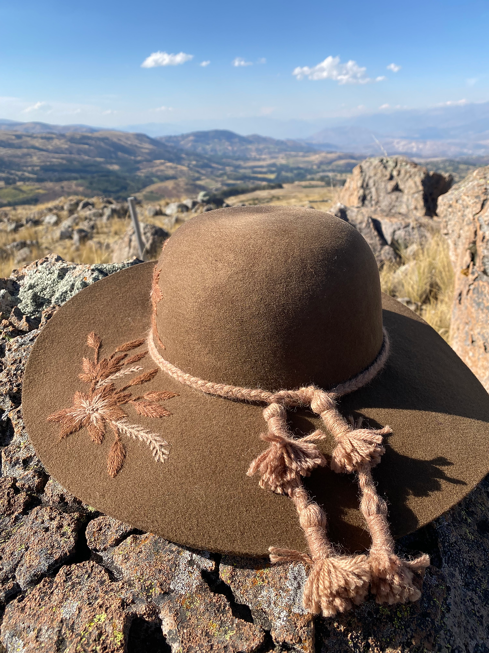 Miniatura: Sombrero Tierra Andina - Habano