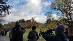 Coyote Creek and Covid-19