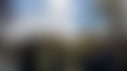 Coyote Creek and Covid-19