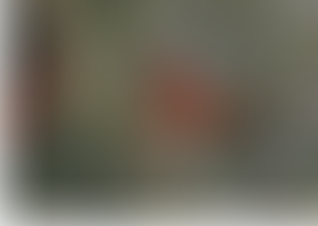 Spring Valley Farm - MicroMesh Approved!!