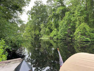 Dismal Swamp