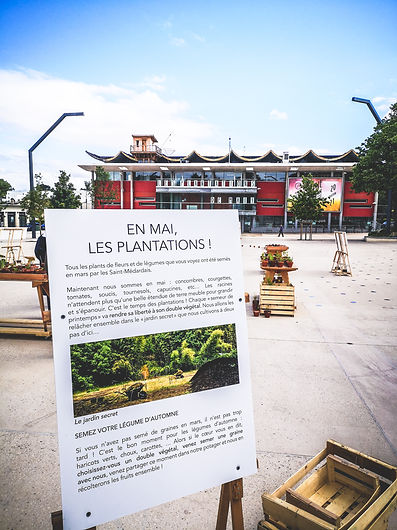 2021-05-18_les semis de printemps carré-colonnes (3).jpg