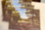 The Trail is Calling Postcards