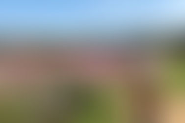 秋の行楽シーズン到来