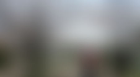 春本番　お花見へ