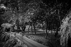 RossandFriends-91 copy.jpg