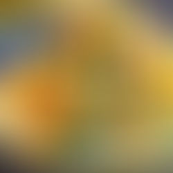 <JAPANESE CRAB MAYO SALAD>