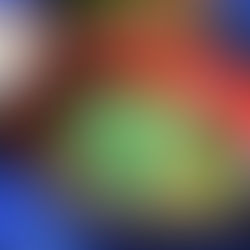 <ASIAN CHICKEN NOODLE SOUP/ 春雨スープ>