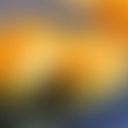 <DORAYAKI WITH SWEET POTATO PASTE>