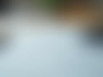 The Essential Role of Reconciliation and How a Bookkeeper Can Help