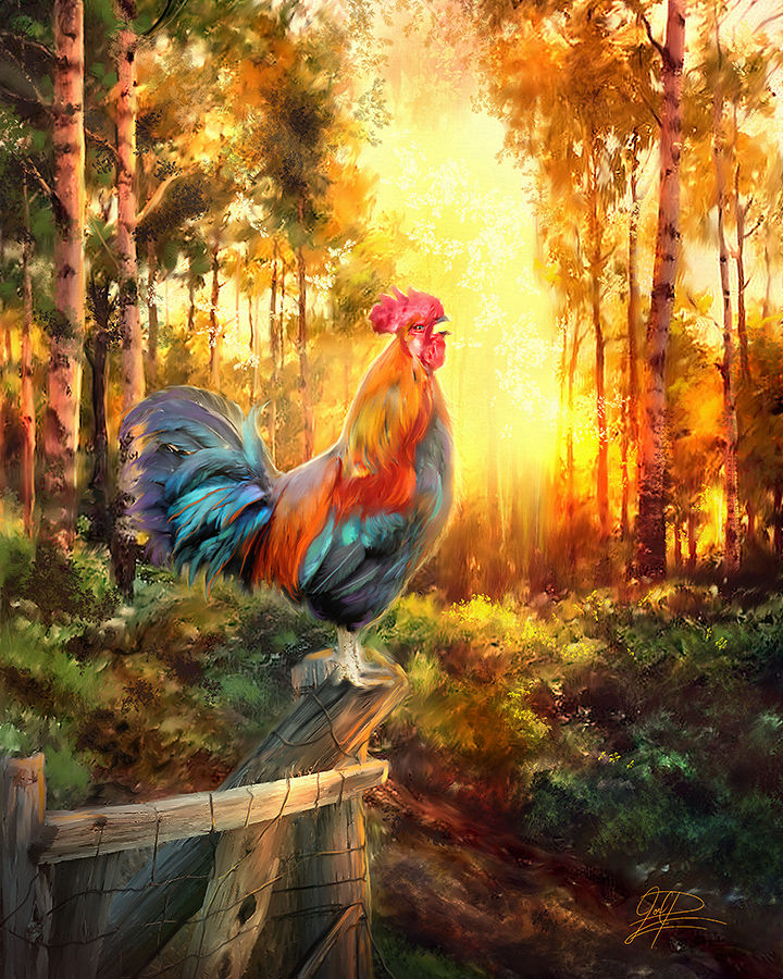 Here Comes The Rooster" open edition on Canvas