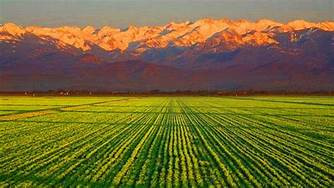Farming in Tulare