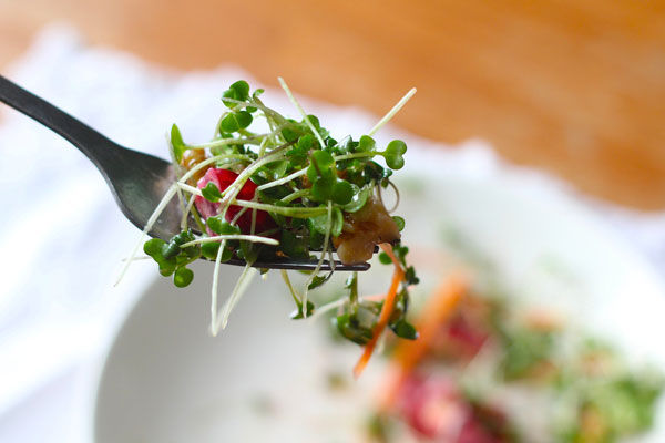 microgreens-salad-6