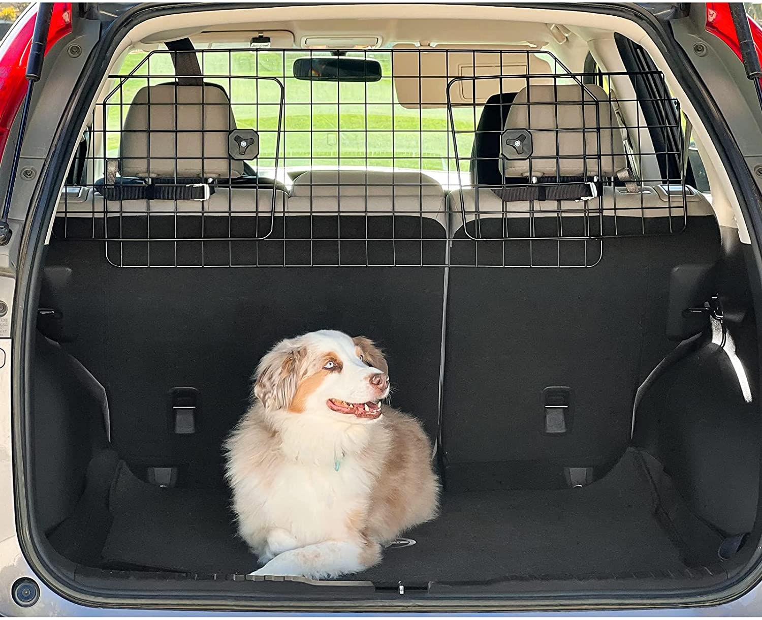 Barrera protectora para perros en automóvil