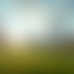 Unlocking Potential at Billingham Juniors: Youth Football Training Benefits